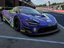 #203 McLaren Cookout Livery